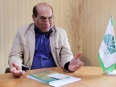 تاوانی که نخل ها دادند و صدایی که شنیده نشد