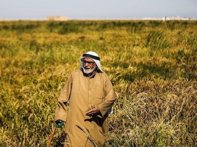 کشاورزی خوزستان زیر سایه تصمیمات متناقض/ آبیاری قطره‌ای روشی راهگشا