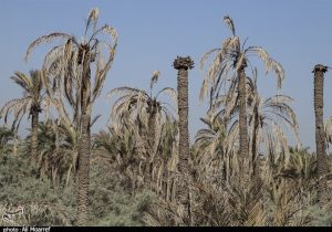 تالاب حق‌آبه دارد اما تأمین نمی‌شود