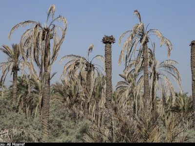 تالاب حق‌آبه دارد اما تأمین نمی‌شود