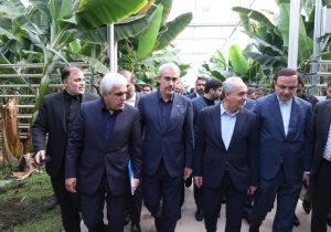 زیان ۲۰ میلیون دلاری مقابل چشم وزیر اقتصاد؛ صادراتی که بیشتر شبیه واردات زیان بود+فیلم