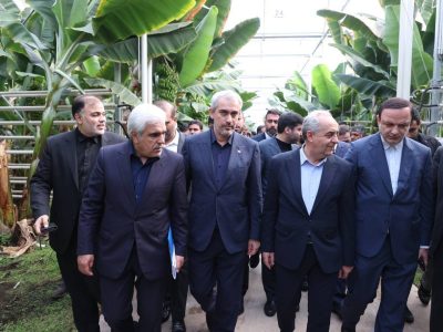 زیان ۲۰ میلیون دلاری مقابل چشم وزیر اقتصاد؛ صادراتی که بیشتر شبیه واردات زیان بود+فیلم