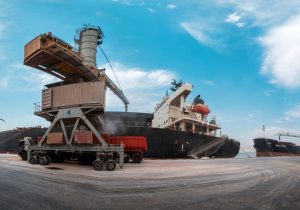 انحصار نهاده‌های دامی زیر سایه مدلل؛ دولت در آزمون شکستن حلقه بسته واردات