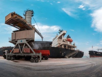 انحصار نهاده‌های دامی زیر سایه مدلل؛ دولت در آزمون شکستن حلقه بسته واردات