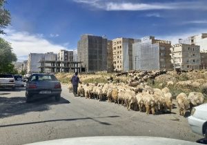 کیفیت زندگی در ایلام؛ مطالبهای که هنوز پاسخ نگرفته است