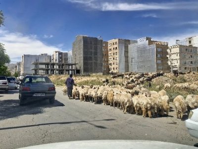 کیفیت زندگی در ایلام؛ مطالبهای که هنوز پاسخ نگرفته است